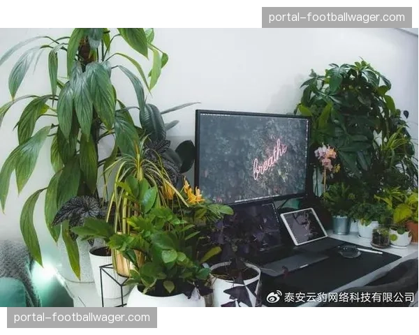 互动功能模块成为直播平台标配 增强用户参与感与平台黏性